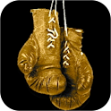 Boxing HD logo