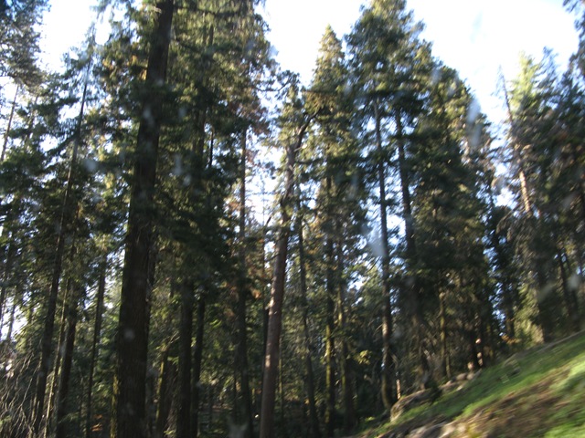 [IMG_08362.jpg]