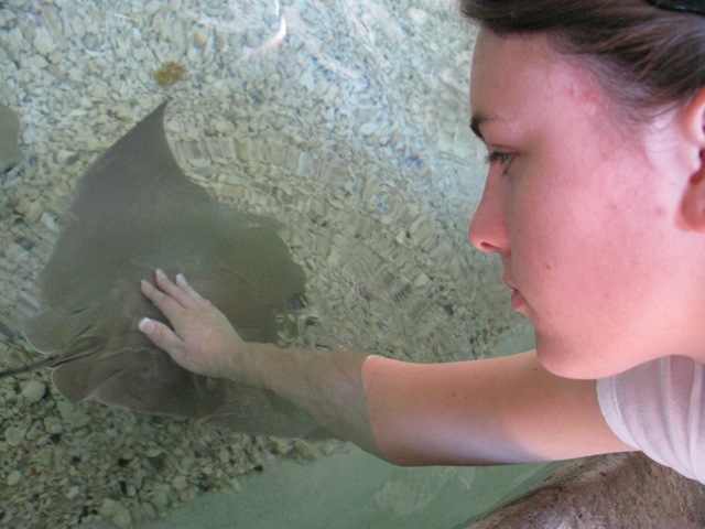 [IMG_08882.jpg]