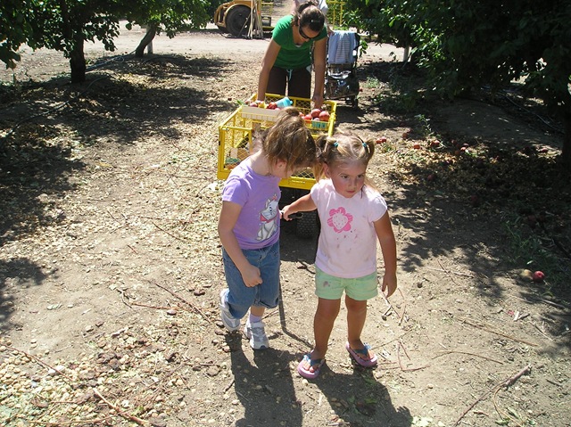 [P60902012.jpg]