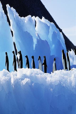 Antarctica Wallpapers HD