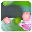 LG Ripple Locker icon