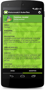 iButterflies(圖5)-速報App