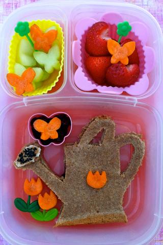 Lunch Box Ideas