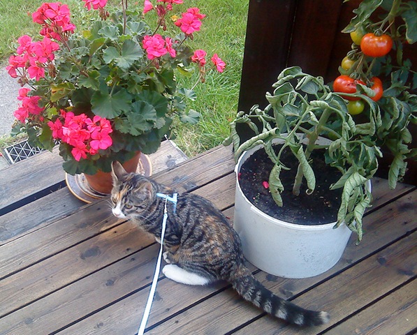 [neaute_21aug[7].jpg]