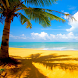 Palm Tree Tropical Beach LWP