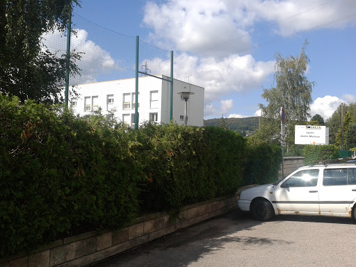 Lycée André Malraux De Remiremont 