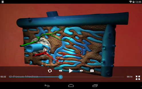 Dyslipidemia- An Overview Screenshots 5