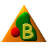 Basic Pro7.5.17 (Paid)