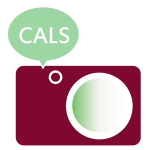 CALCAME simple 1280x960 camera logo