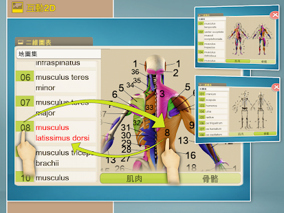 易解剖 3D(圖5)-速報App