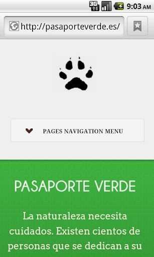 PASAPORTE VERDE