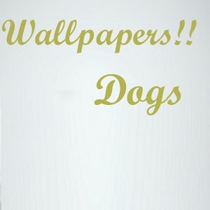 Wallpaper Dog HD.apk 1.1