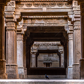 Adalaj Stepwell by Himanshu Maya - Buildings & Architecture Architectural Detail