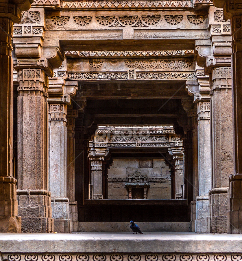 Adalaj Stepwell by Himanshu Maya - Buildings & Architecture Architectural Detail
