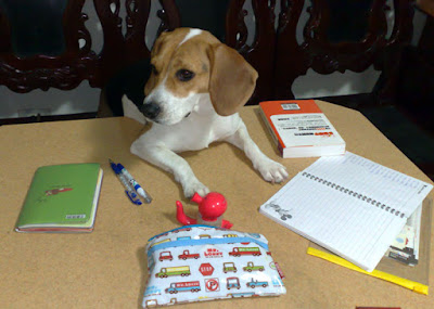 [DOG]歲月如梭…豆豆來家裡一年了！ - 阿祥的網路筆記本