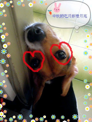 [Event]幫紅豆拉票！來參加PC Home Kuso相片塗鴨比賽吧！ - 阿祥的網路筆記本