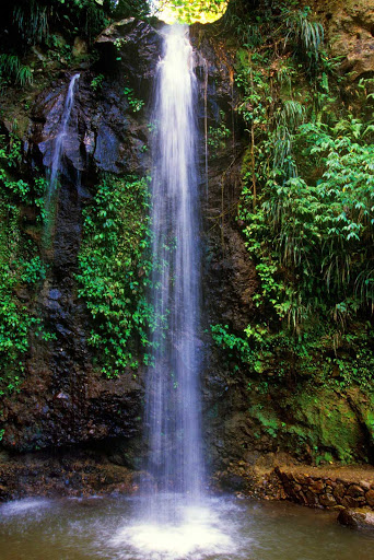 St-Lucia-waterfall - A waterfall on the tropical island of St. Lucia.