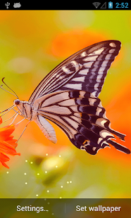 Free Download Smart Butterfly LWP APK