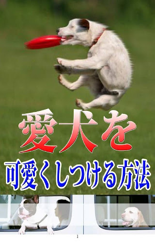 愛犬を可愛くしつける方法