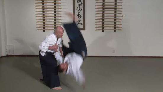 Aikido Guide(圖6)-速報App