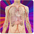 Anatomy Guide (Pocket Book)2.2