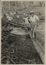Mannen steken een boomstambrug over