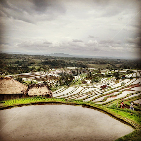 by Yudya Daton - Instagram & Mobile Instagram