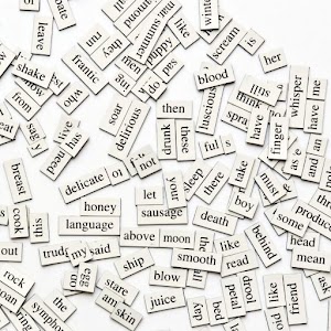 Word of the Day! 1.0