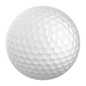 EGA Playing Handicap 1.1