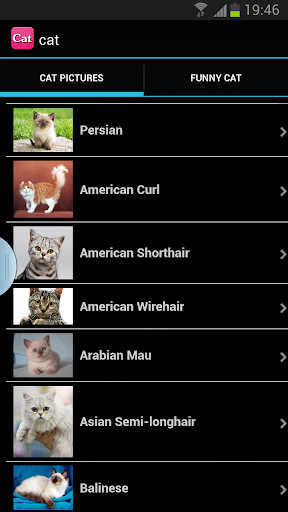 Cat apps for cats