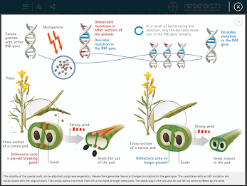 Research - Science at Bayer poster 7