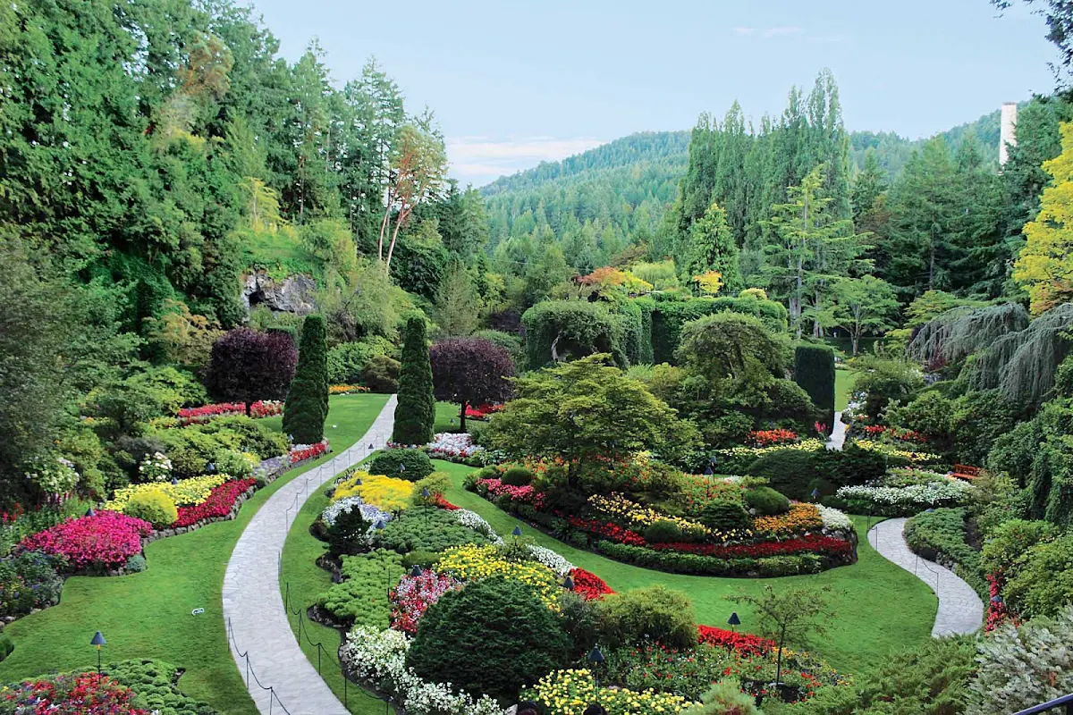 Victoria-BC-Butchart-Gardens - Norwegian Cruise Line's Alaska cruises includes a stop in in Victoria, British Columbia, when you can visit beautiful, world-class Butchart Gardens.