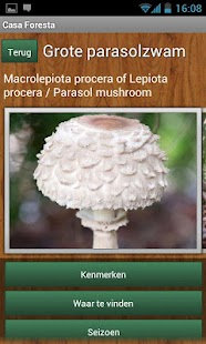 How to mod Paddestoelen App 1.0.6 unlimited apk for laptop