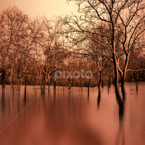 Ifrane by Moussa Idrissi - Digital Art Places