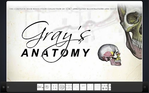 Grays Anatomy Student Edition