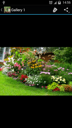 Garden Ideas