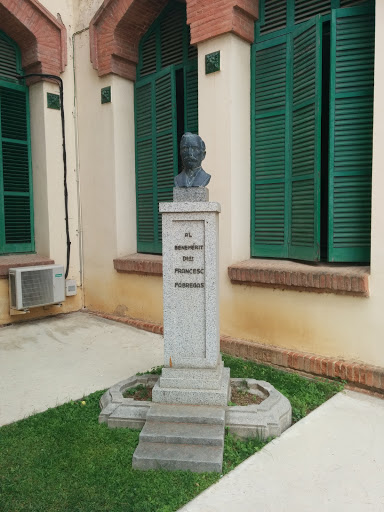 Bust Francesc Fábregas