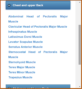 Muscular System(Anatomy)(圖3)-速報App