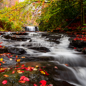 What's in a name? by Jim Harmer - Landscapes Waterscapes