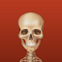 iOrtho+Â®2.6.11