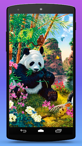 Panda Bear Live Wallpaper