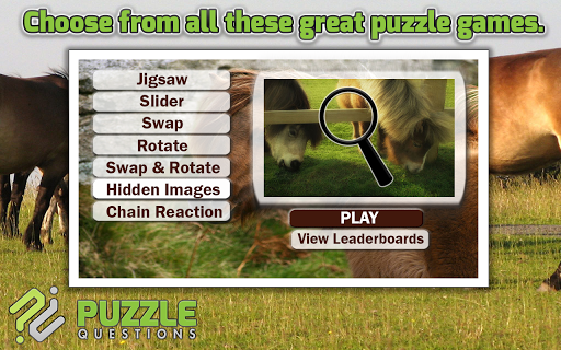 Pony Puzzle Games