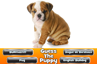 Guess The Puppy 2 Trivia Game poster 7
