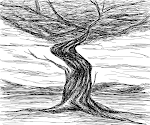 Funky Tree Drawings SketchPort