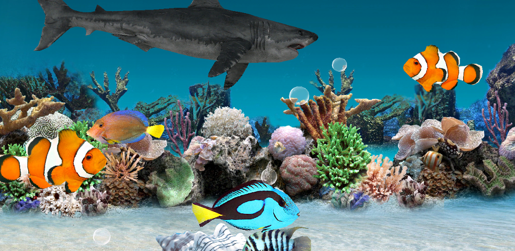  Download  3D  Aquarium Live Wallpaper  APK  latest version 1 1 