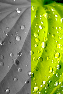 Photo Magic Screenshots 4