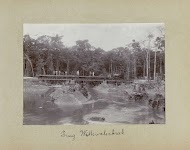 Brug Wittewaterkreek