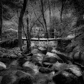 Looking for the waterfall by Paulo Veiga - Black & White Landscapes
