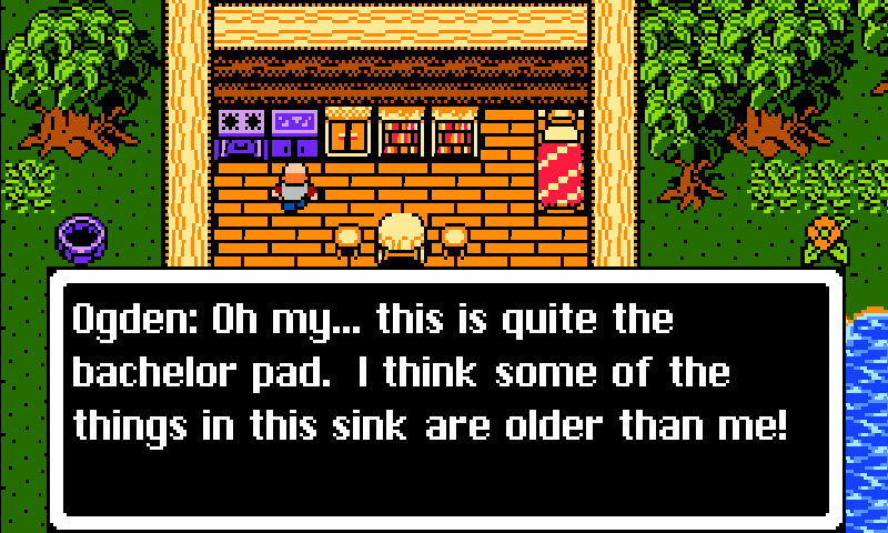 Dragon Fantasy 8-bit RPG Screen 3
